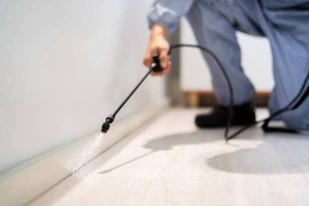 Licensed Mosquito Control service in Haubstadt, IN - Show Me Pest Control