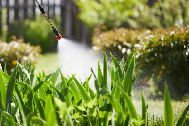 24/7 Emergency Mosquito Control experts in Haubstadt, IN