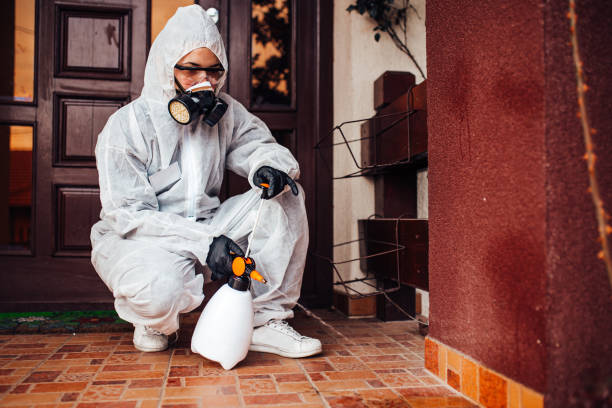 Reliable Mosquito Control contractor in Haubstadt, IN by Show Me Pest Control