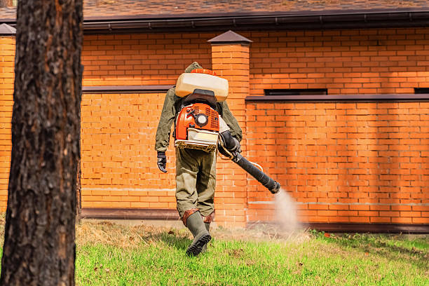 Top rated local Mosquito Control specialists in Haubstadt, IN